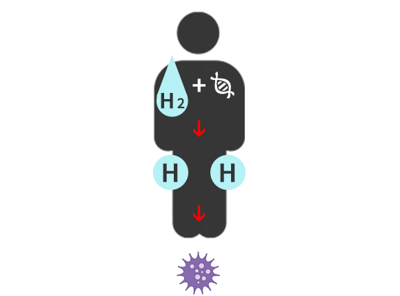 H2とのちがい